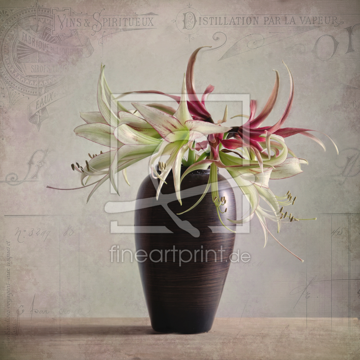 Bild-Nr.: 11451849 Amaryllis Vintage erstellt von Steffen Gierok