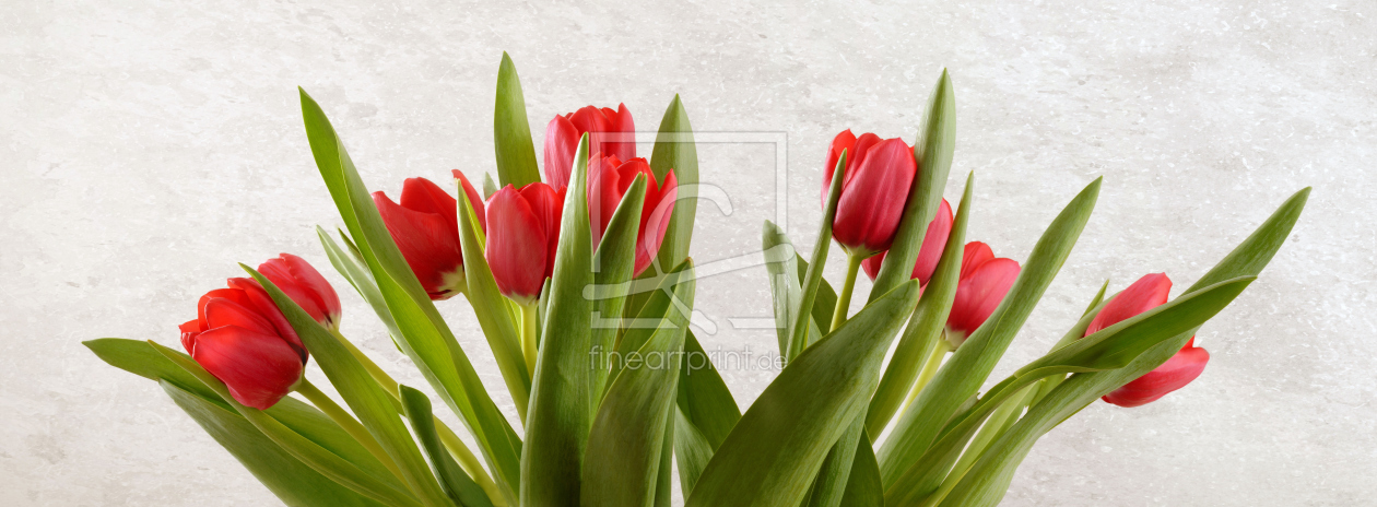 Bild-Nr.: 11454461 Bouquet of Tulips erstellt von Rolf Eschbach