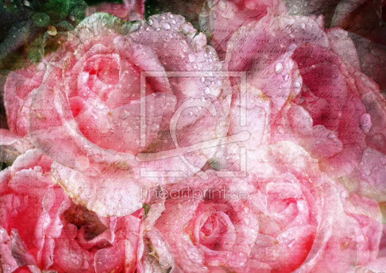 Bild-Nr.: 11454733 Romantische Rosen Vintage erstellt von Martina-Cross