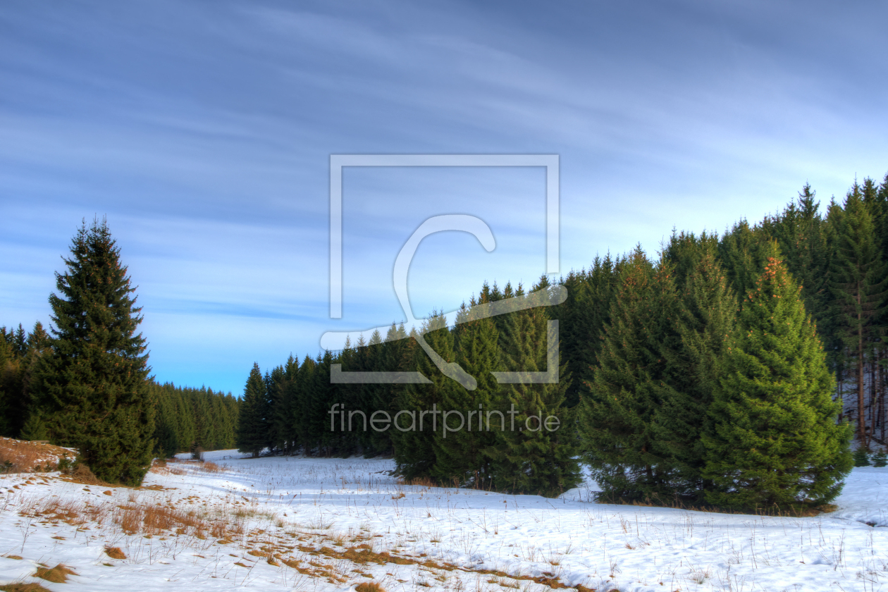 Bild-Nr.: 11455325 Winter im Harz erstellt von Steffen Gierok