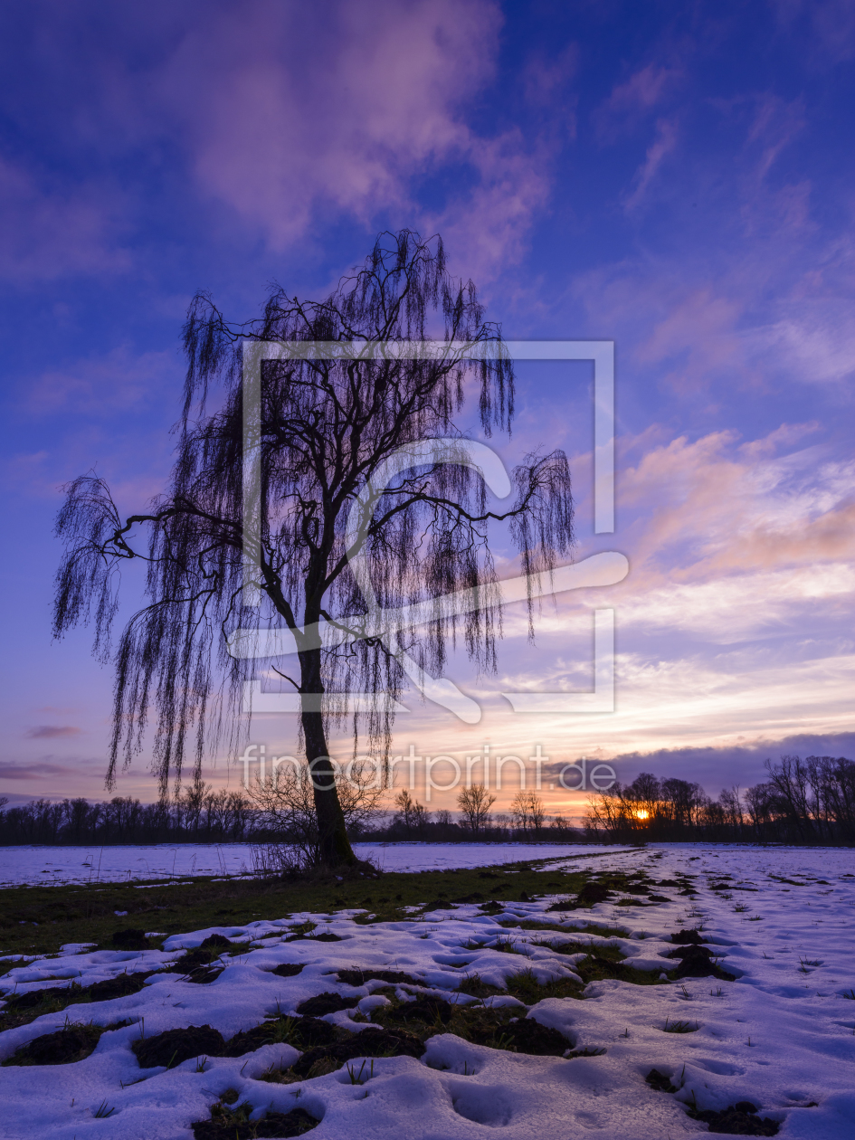 Bild-Nr.: 11456038 Weide im Winter erstellt von DenisFeiner