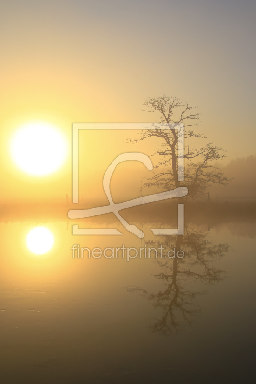 Bild-Nr.: 11456627 Baum und Sonne erstellt von falconer59