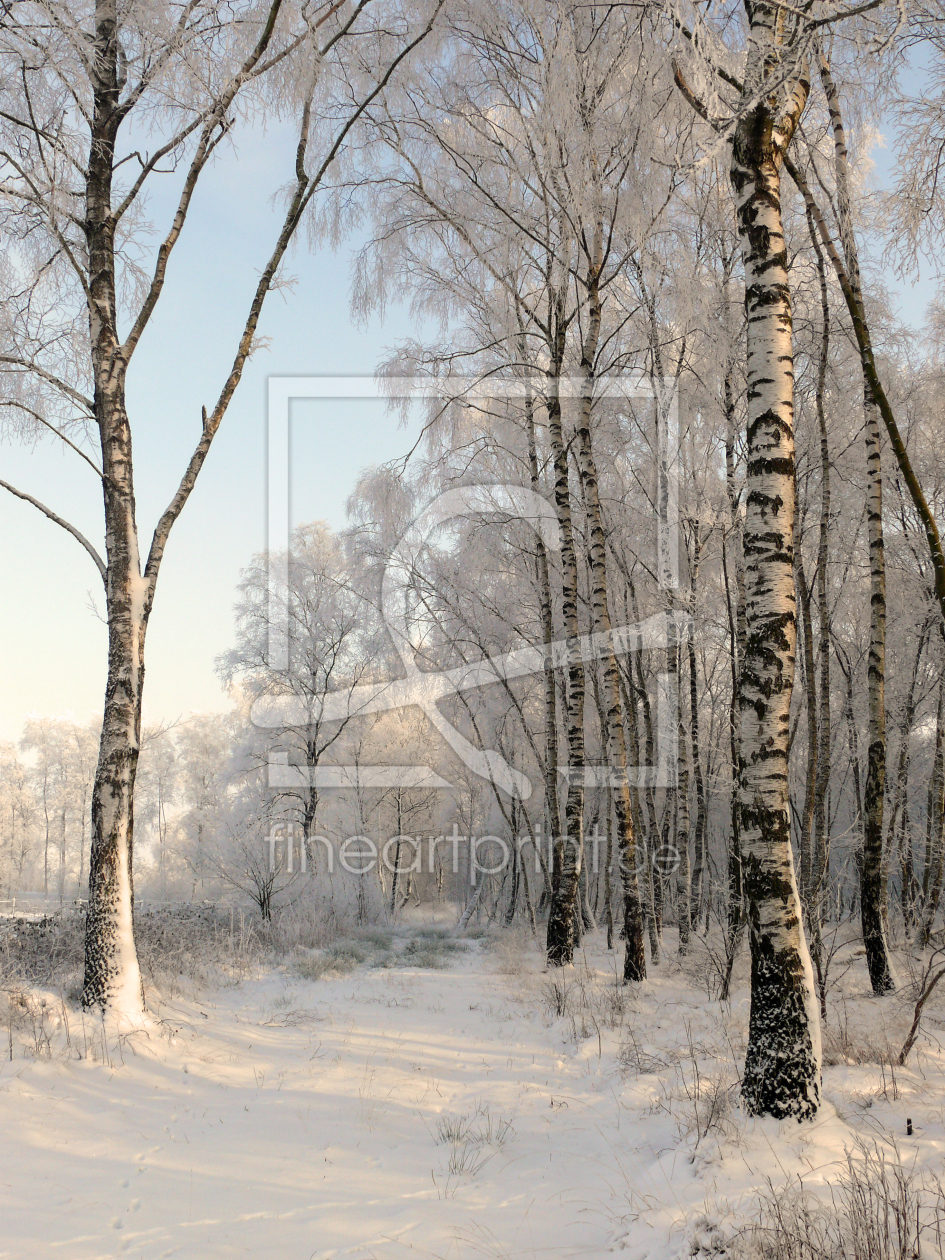 Bild-Nr.: 11458319 Wintereinbruch erstellt von Ostfriese