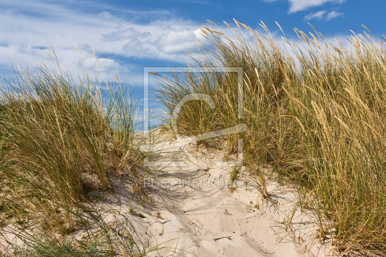 Bild-Nr.: 11459188 Düne am Strand in Dänemark 2 erstellt von Anja Schäfer