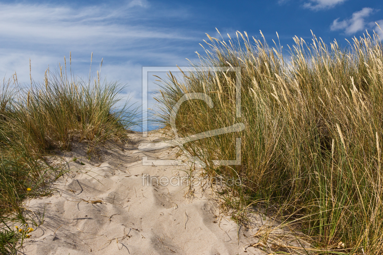 Bild-Nr.: 11459192 Düne am Strand in Dänemark 3 erstellt von Anja Schäfer