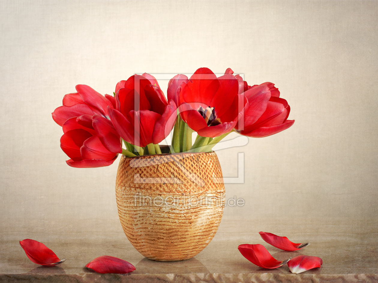 Bild-Nr.: 11459729 fading tulips erstellt von Rolf Eschbach