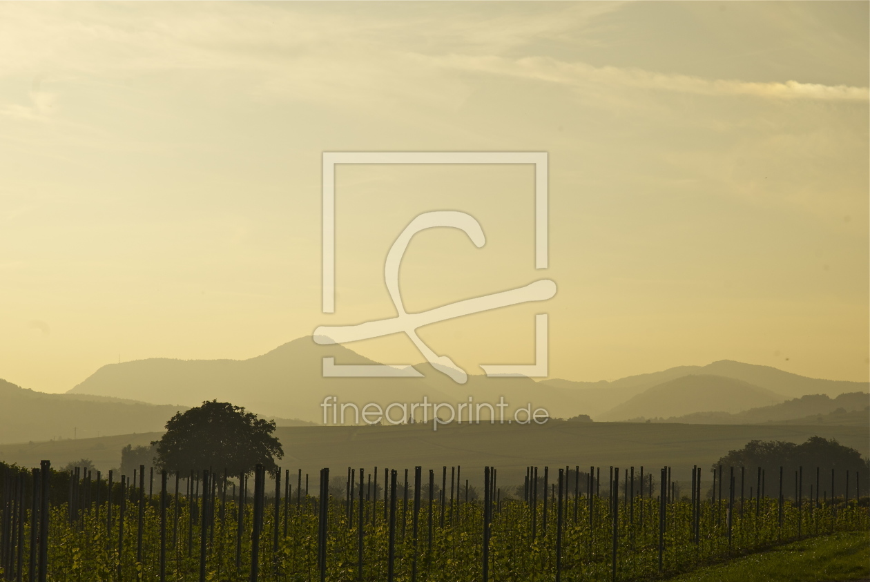 Bild-Nr.: 11462344 Herbststimmung bei Landau 2 erstellt von Palamo