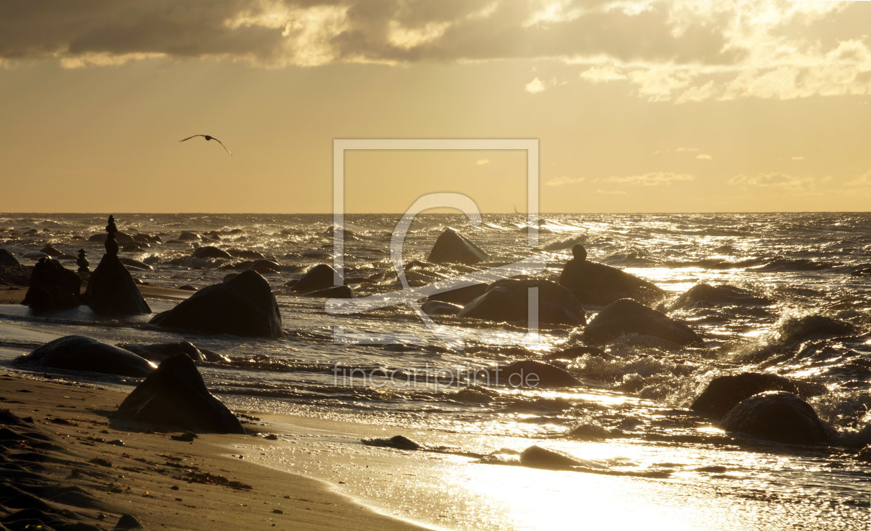 Bild-Nr.: 11462961 Ostseestrand erstellt von flori0