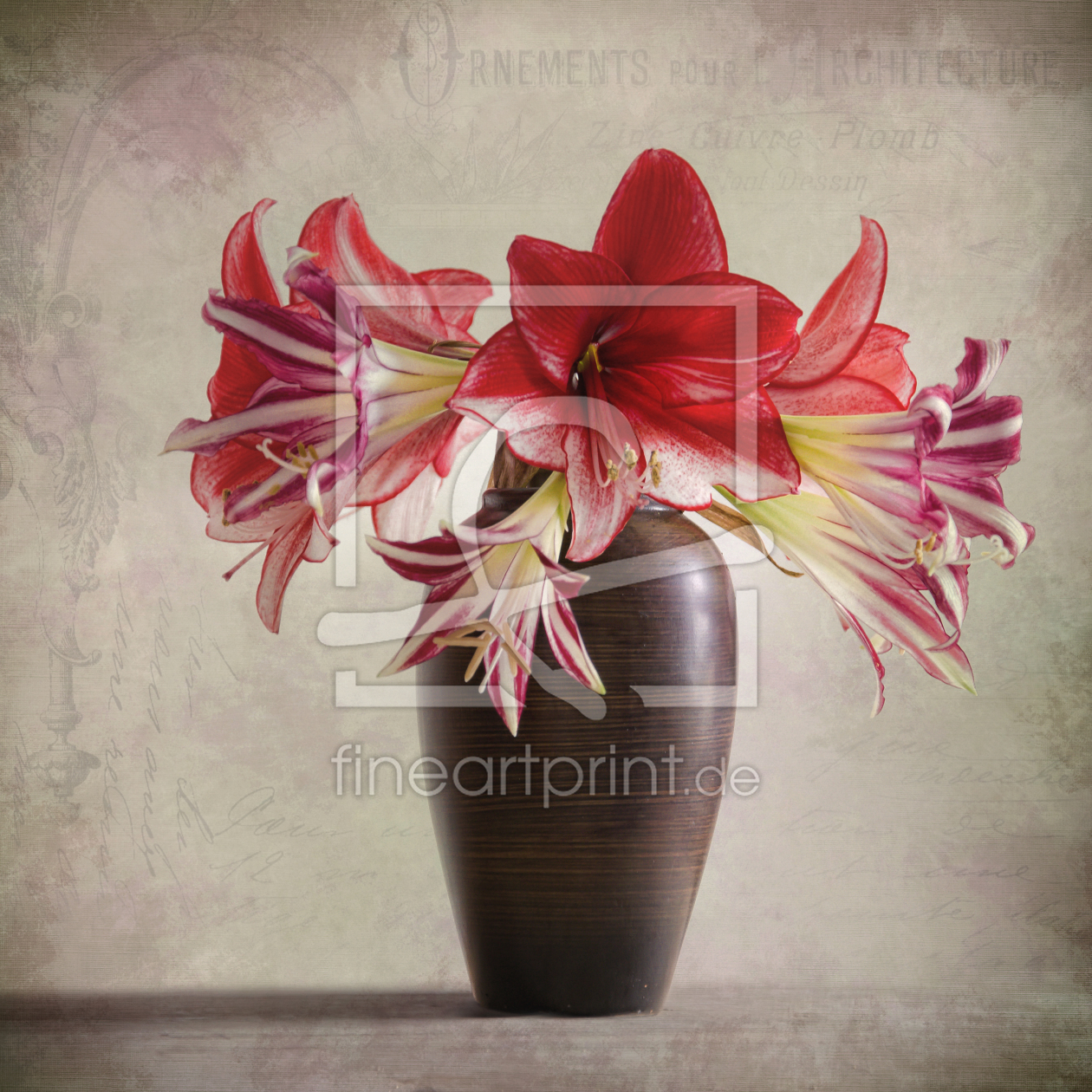 Bild-Nr.: 11463064 Amaryllis Vintage Bild-Nr.: 11463064 Amaryllis Vintage erstellt von Steffen Gierok
