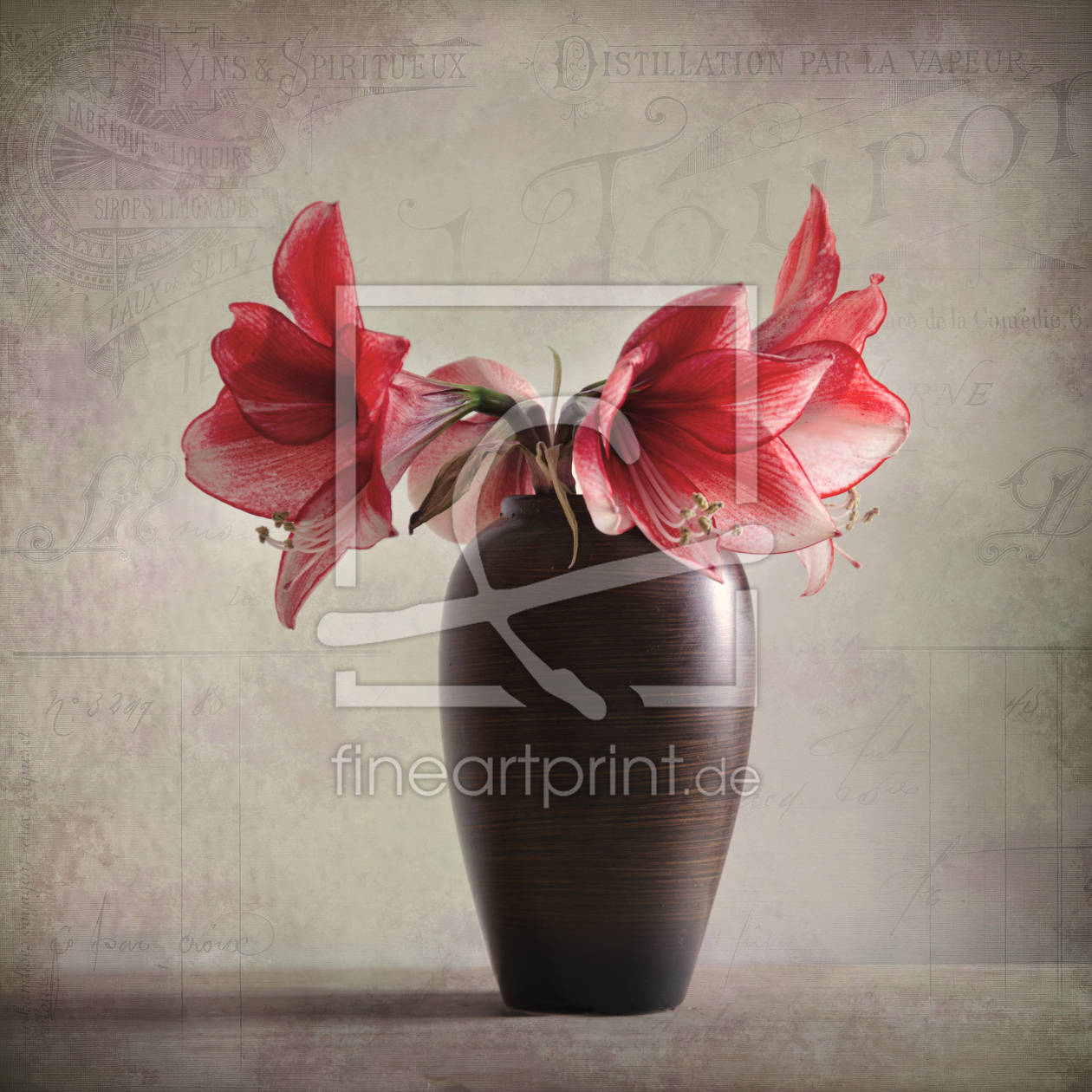 Bild-Nr.: 11463068 Amaryllis Vintage erstellt von Steffen Gierok