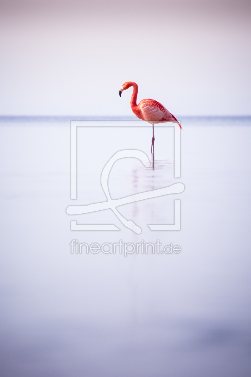 Bild-Nr.: 11464682 Bayerischer Flamingo erstellt von Blendenfabrik