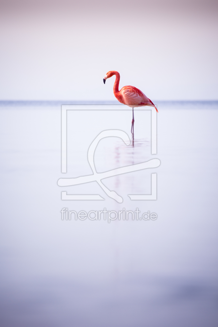 Bild-Nr.: 11464682 Bayerischer Flamingo Bild-Nr.: 11464682 Bayerischer Flamingo erstellt von Blendenfabrik