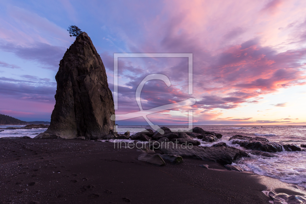 Bild-Nr.: 11464701 Rialto Beach - Olympic NP erstellt von TomKli