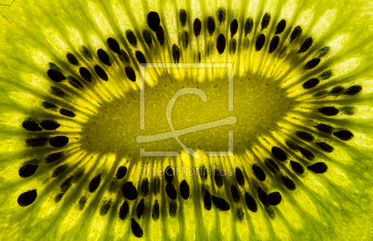 Bild-Nr.: 11465188 Kiwi erstellt von Photosynthese