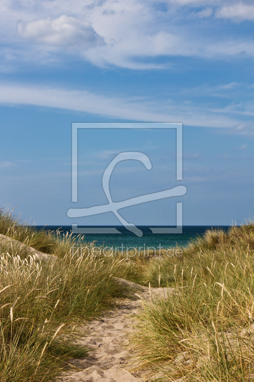 Bild-Nr.: 11465252 Weg zum Strand in Tisvildeleje 8 erstellt von Anja Schäfer