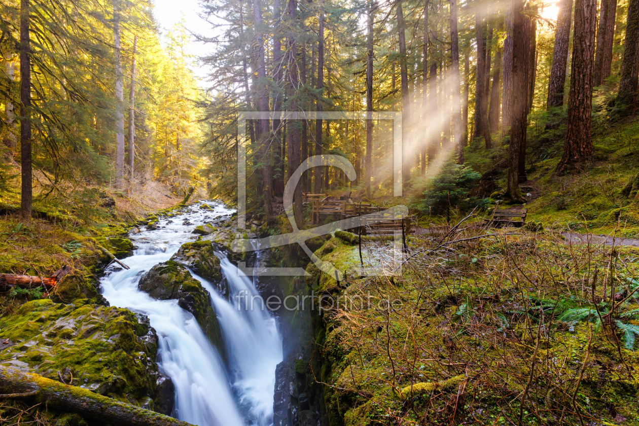 Bild-Nr.: 11465270 Sol Duc Waterfall - Olympic National Park erstellt von TomKli