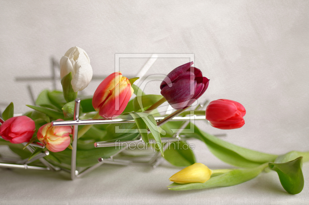 Bild-Nr.: 11465374 a basket of tulips erstellt von Rolf Eschbach