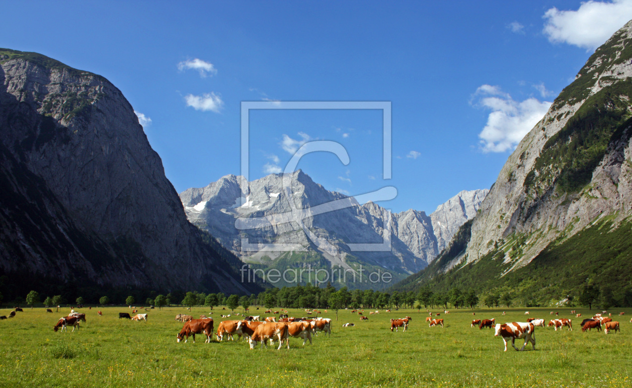 Bild-Nr.: 11465461 Eng in Tirol erstellt von kleegina