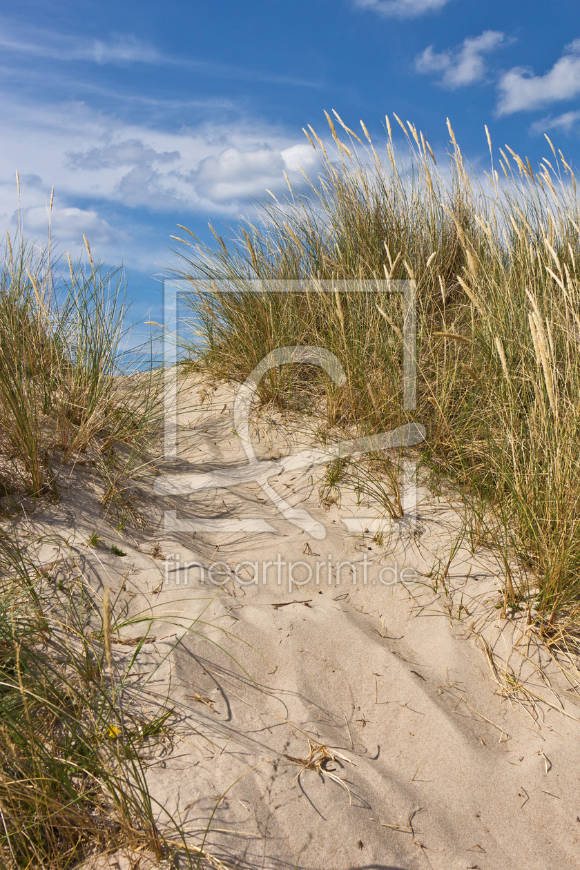 Bild-Nr.: 11465652 Düne am Strand in Dänemark 6 erstellt von Anja Schäfer