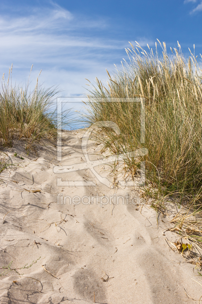 Bild-Nr.: 11465654 Düne am Strand in Dänemark 7 erstellt von Anja Schäfer