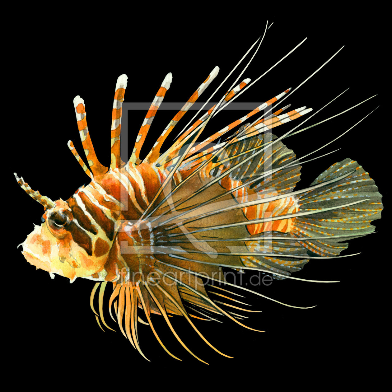 Bild-Nr.: 11466082 LIONFISH erstellt von RoxanneLeFay