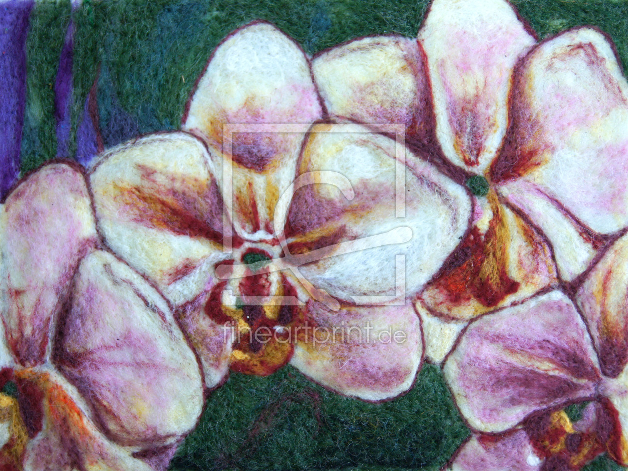 Bild-Nr.: 11466096 ORCHIDS Bild-Nr.: 11466096 ORCHIDS erstellt von RoxanneLeFay