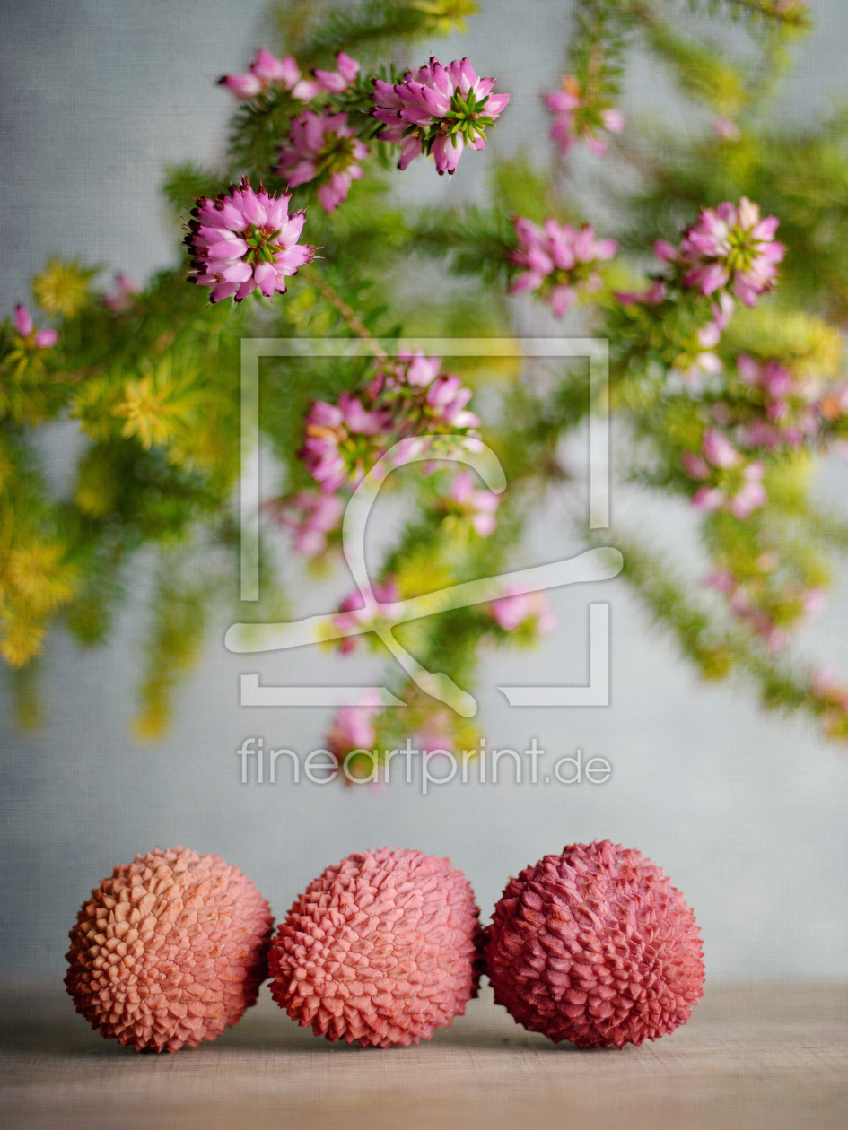 Bild-Nr.: 11466387 Heideblumen und Exoten erstellt von Rolf Eschbach