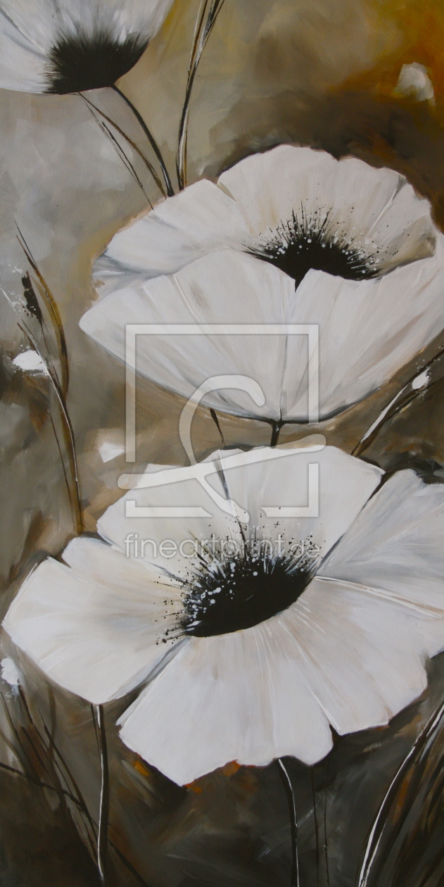 Bild-Nr.: 11466683 White Poppies erstellt von Claudia  Neubauer