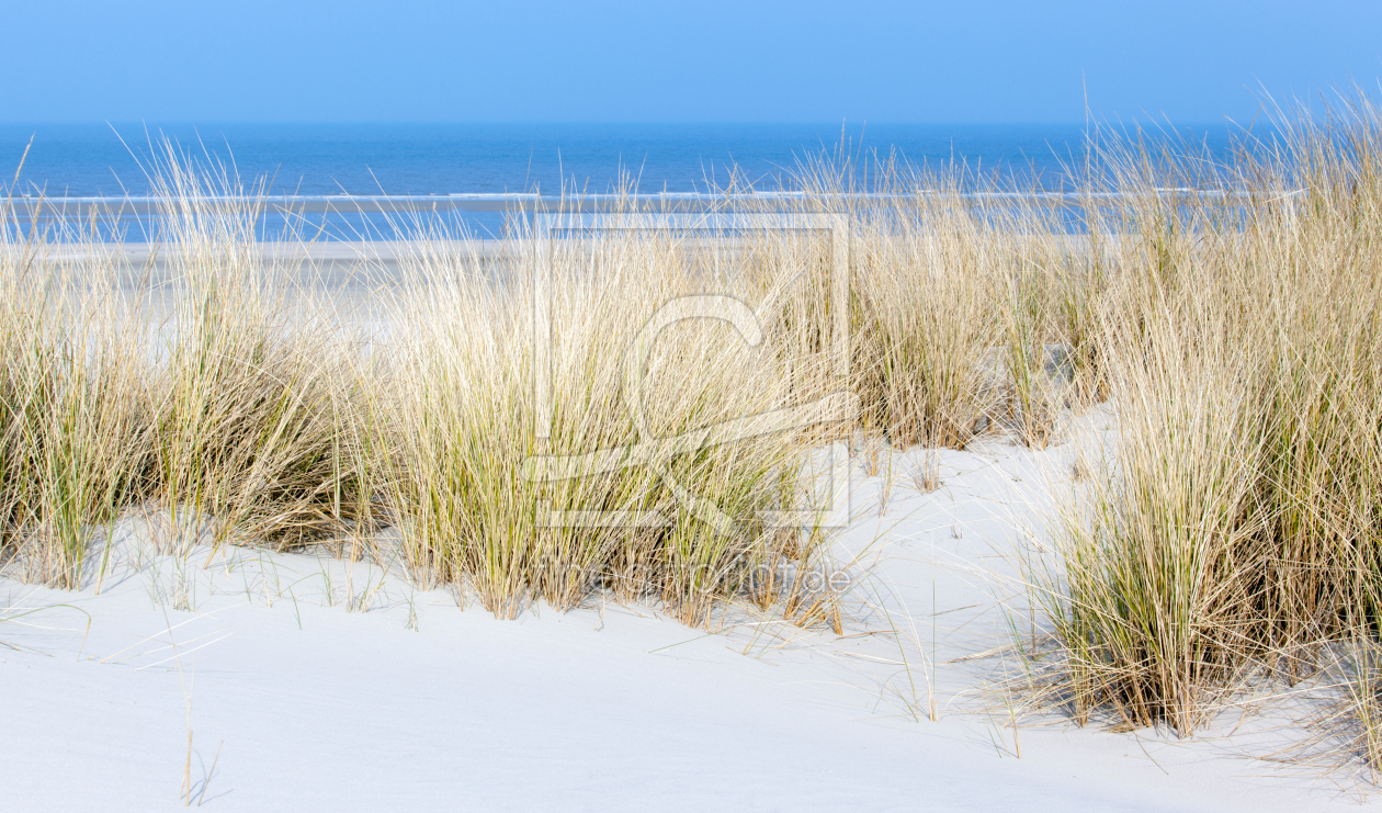 Bild-Nr.: 11466824 Langeoog erstellt von wompus