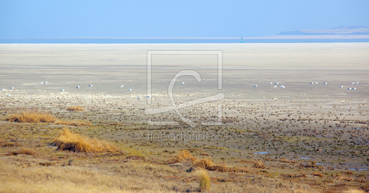 Bild-Nr.: 11466832 Langeoog - Wattenmeer erstellt von wompus