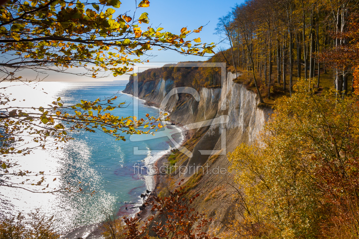 Bild-Nr.: 11467609 Herbst auf Rügen erstellt von hombreolm