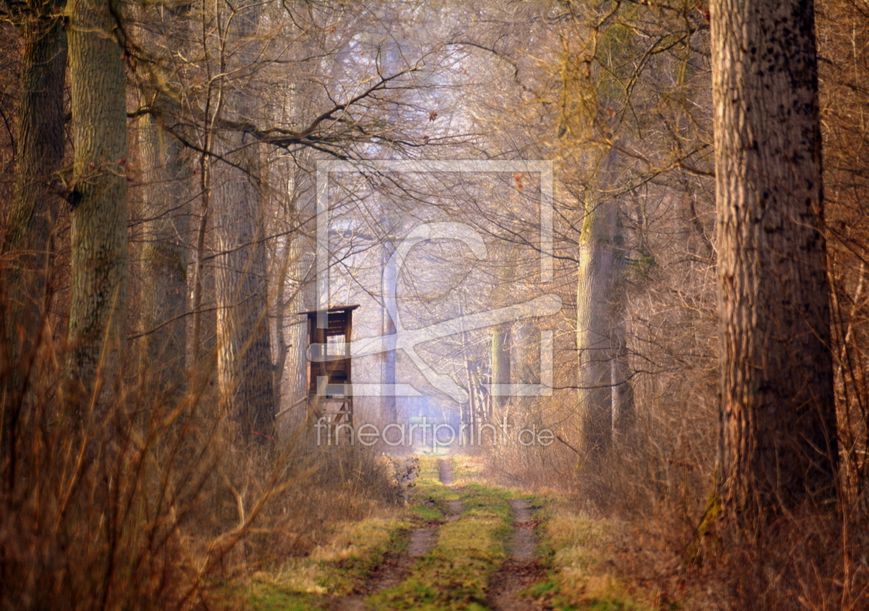 Bild-Nr.: 11468328 Waldweg erstellt von GUGIGEI