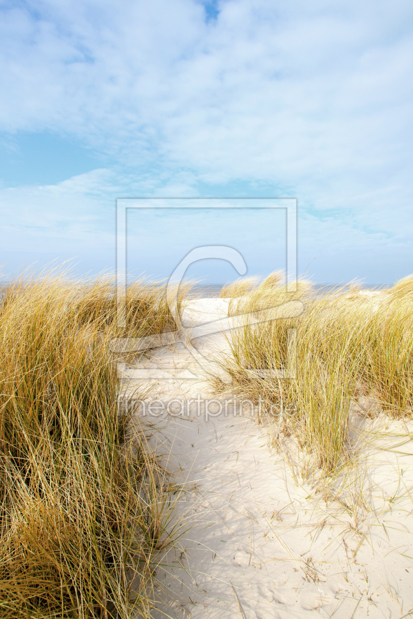 Bild-Nr.: 11468514 Langeoog Bild-Nr.: 11468514 Langeoog erstellt von wompus
