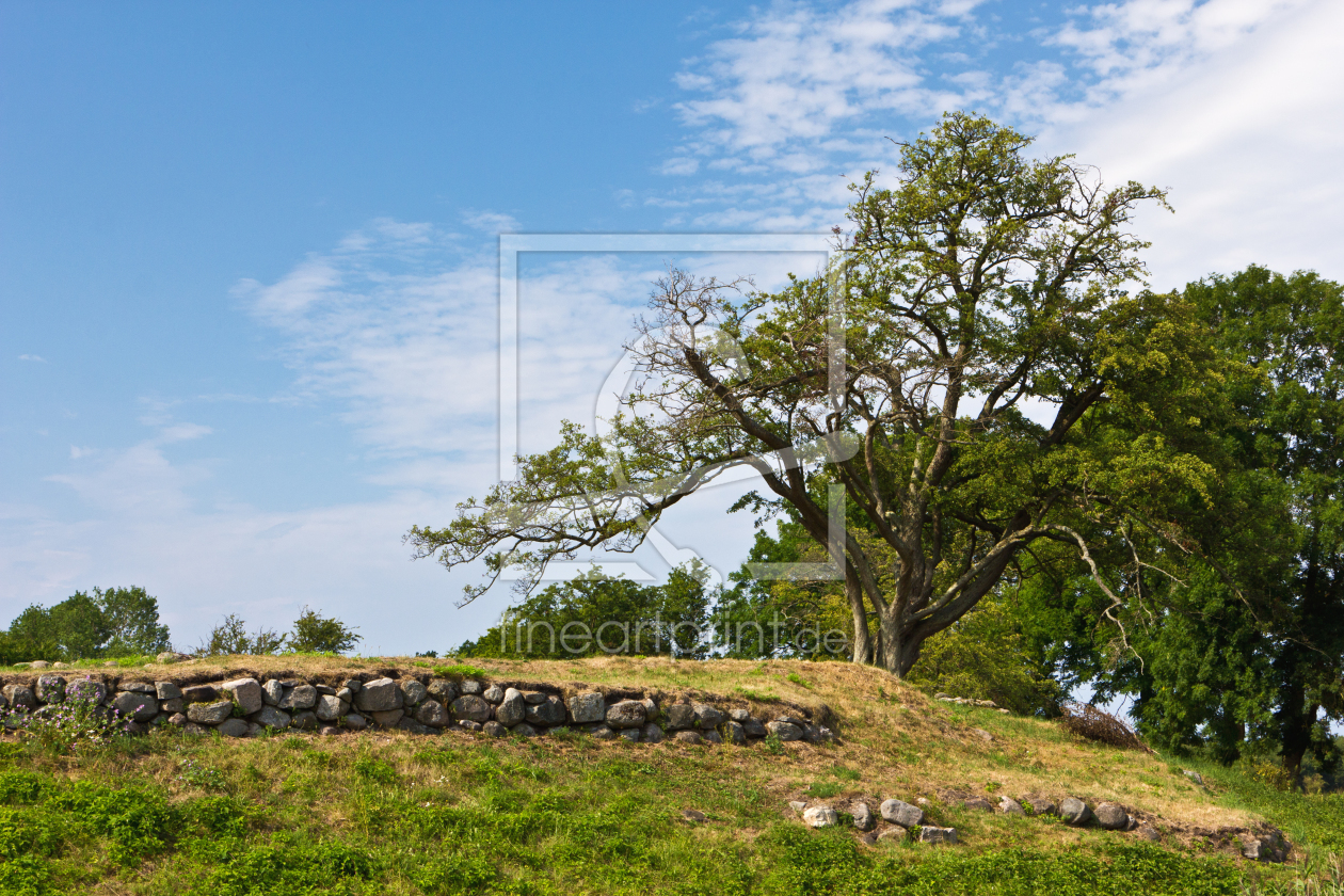 Bild-Nr.: 11468730 Baum an der Schlossruine Søborg  erstellt von Anja Schäfer