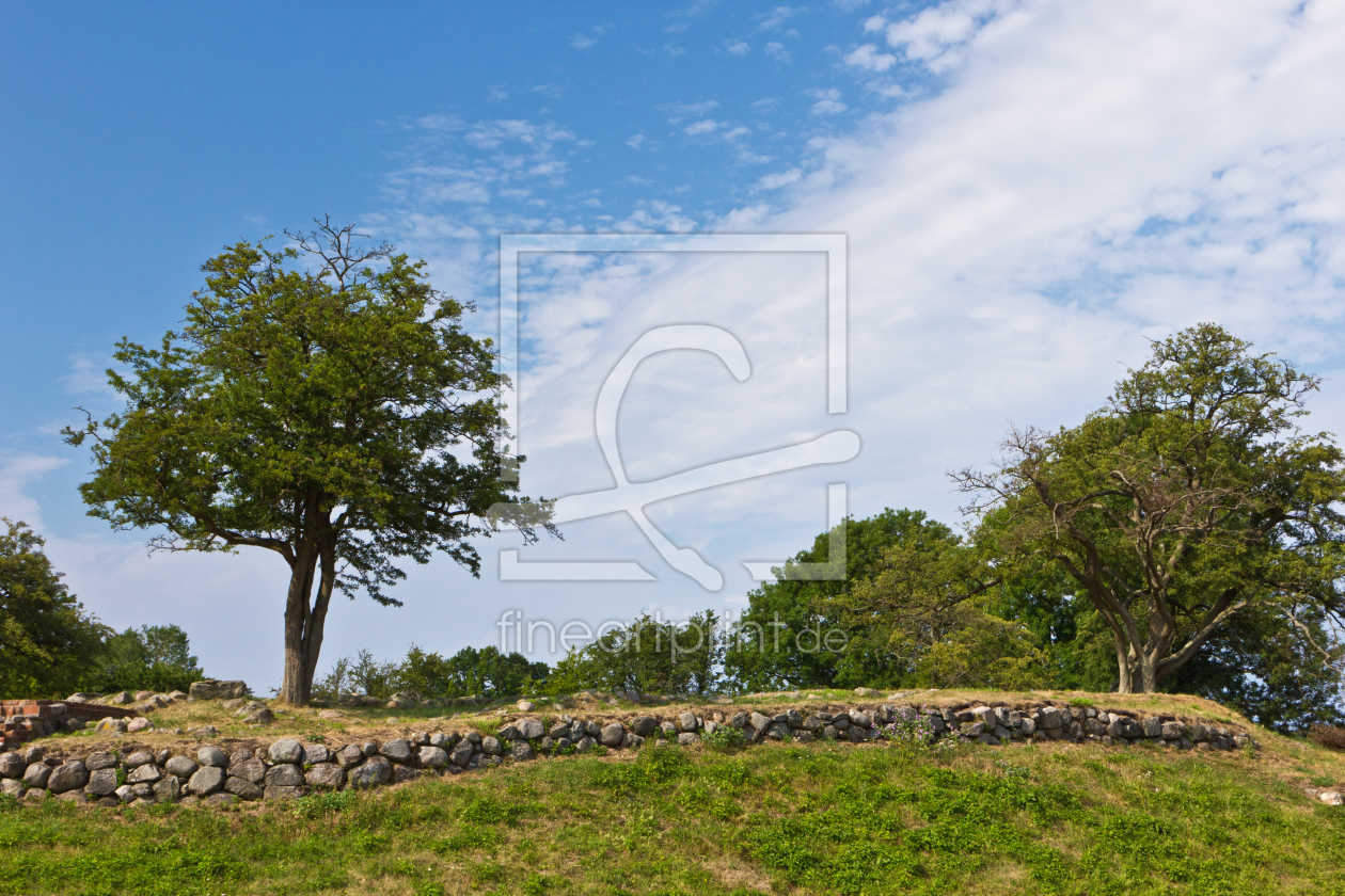 Bild-Nr.: 11468754 Baum an der Schlossruine Søborg 3 erstellt von Anja Schäfer