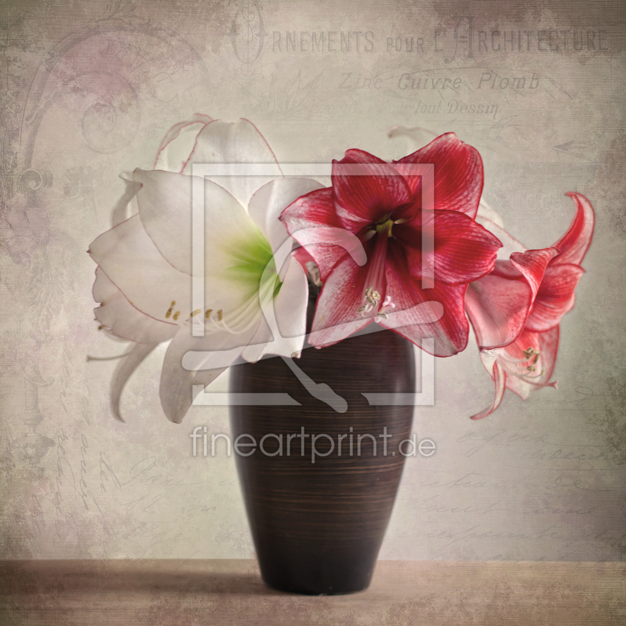 Bild-Nr.: 11469392 Amaryllis Vintage erstellt von Steffen Gierok