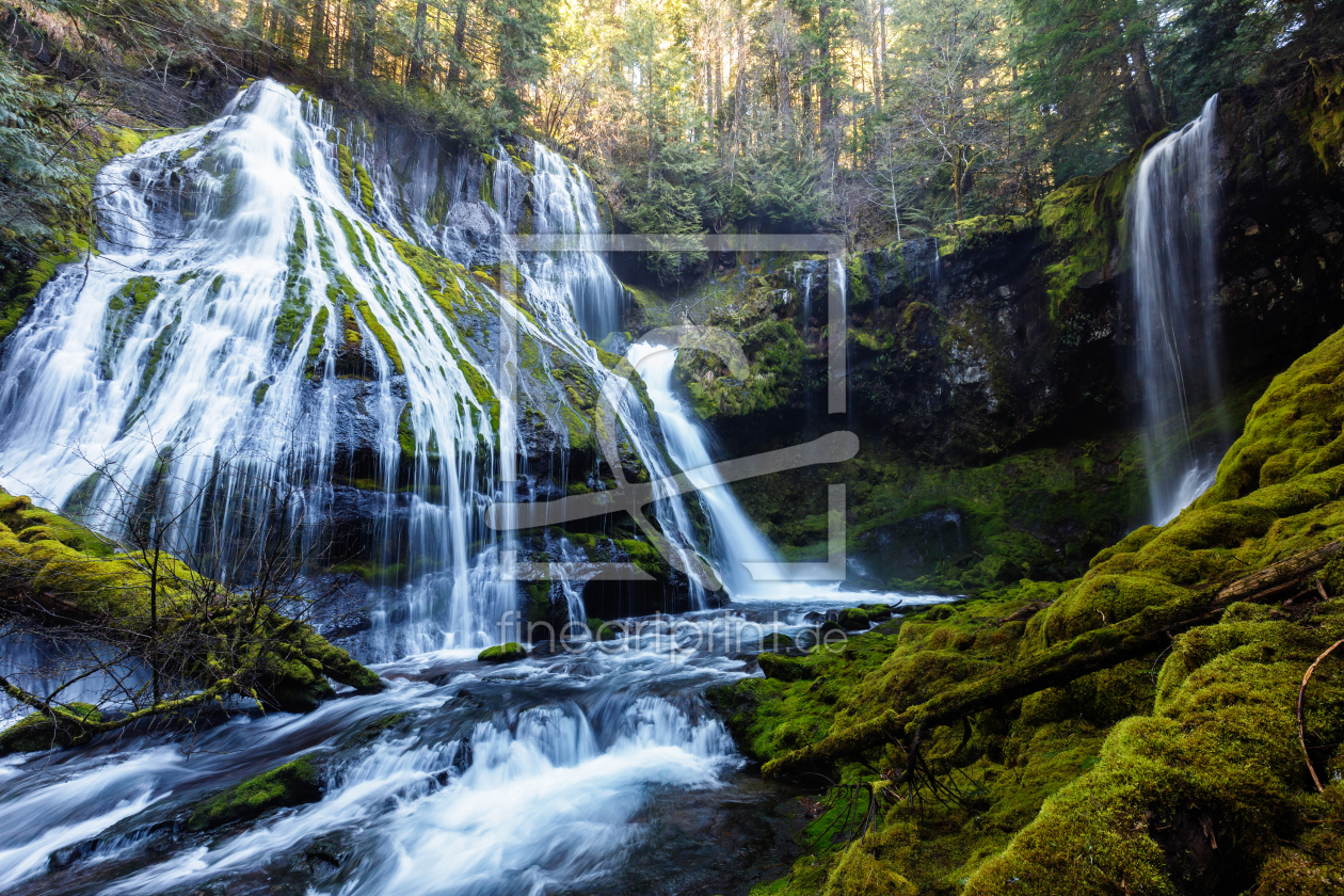 Bild-Nr.: 11469987 Panther Creek Falls erstellt von TomKli