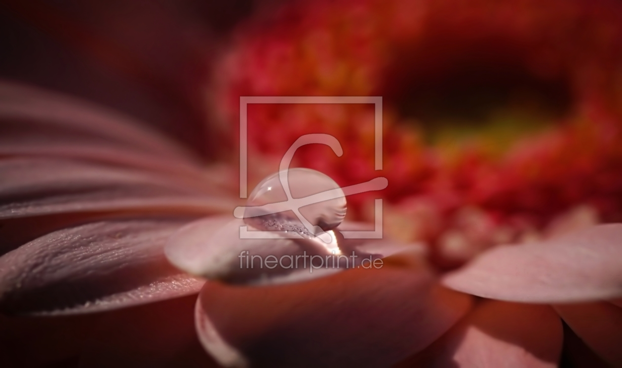 Bild-Nr.: 11470047 Blütenperle erstellt von youhaveadream
