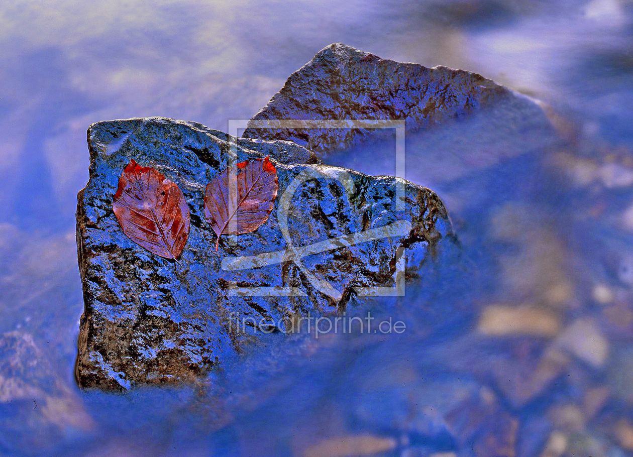 Bild-Nr.: 11470737 Bachsteine in der Exter im Herbst im Lipperland erstellt von A-Grotehans