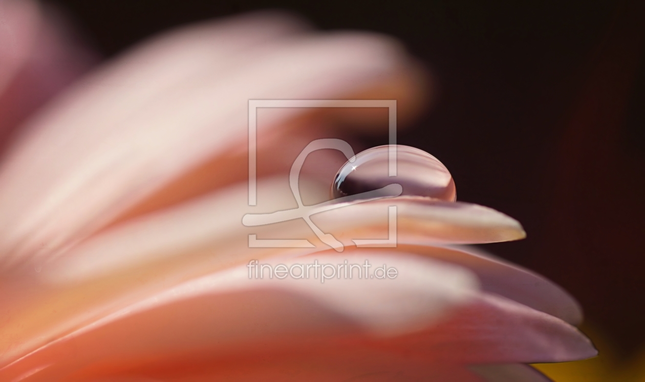 Bild-Nr.: 11470844 Curves Bild-Nr.: 11470844 Curves erstellt von youhaveadream