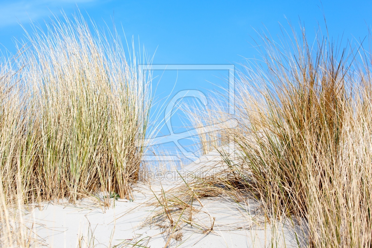 Bild-Nr.: 11471820 Langeoog Bild-Nr.: 11471820 Langeoog erstellt von wompus