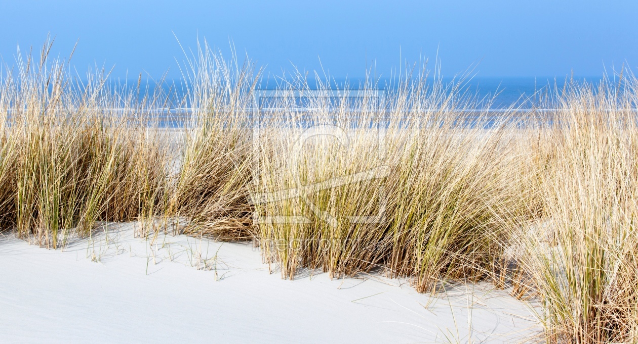 Bild-Nr.: 11471822 Langeoog erstellt von wompus