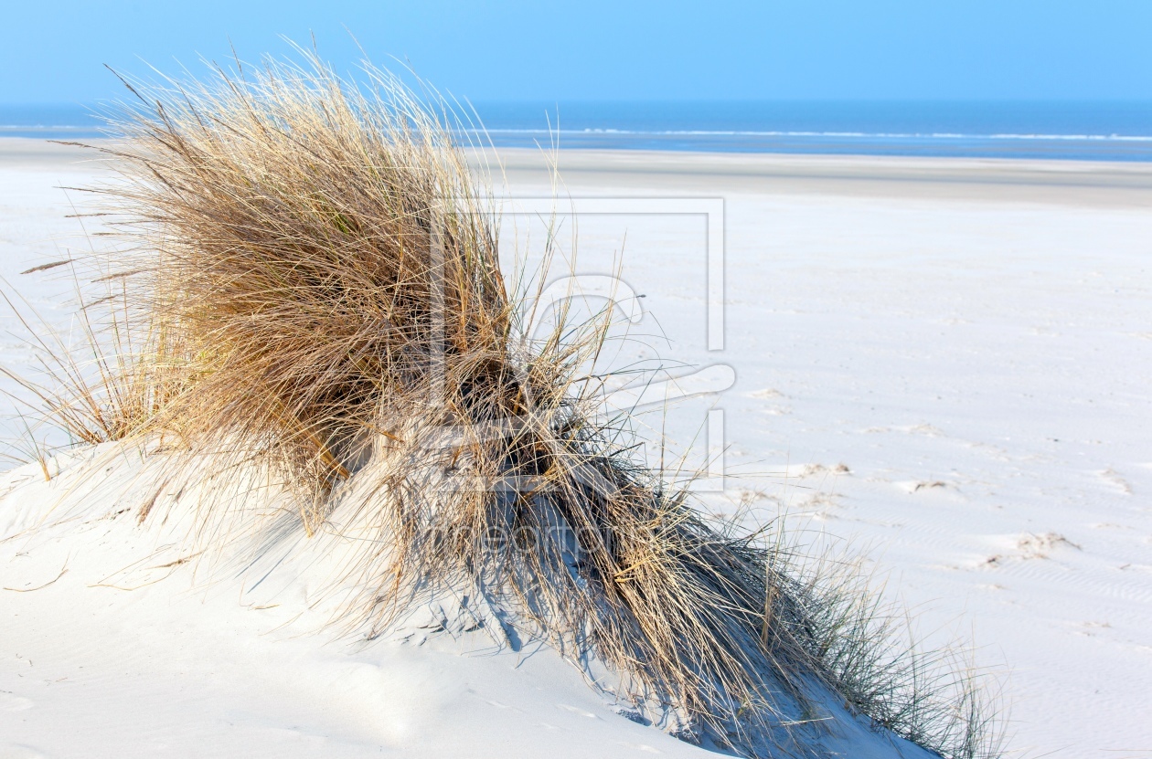 Bild-Nr.: 11471830 Langeoog erstellt von wompus