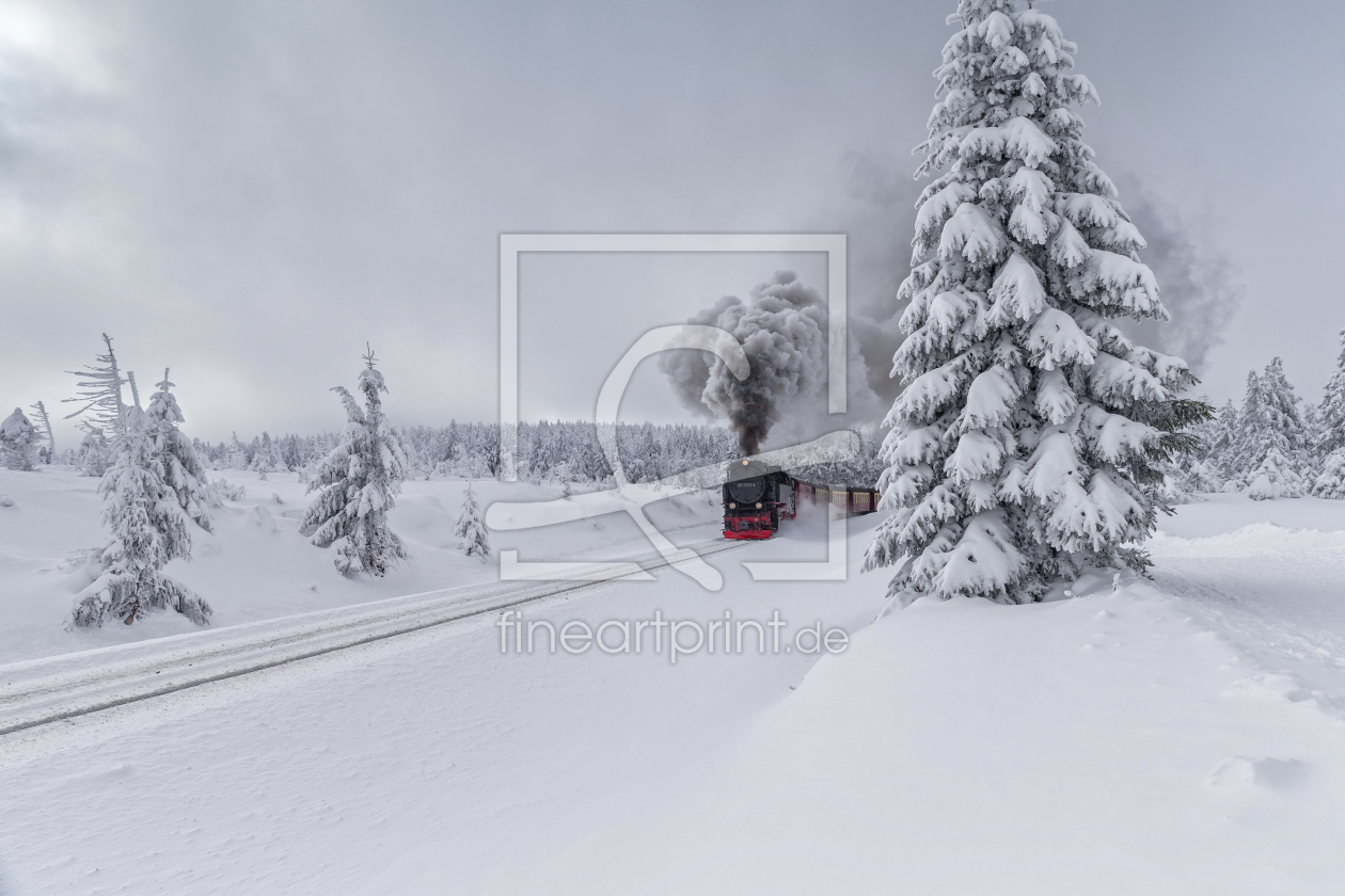 Bild-Nr.: 11471934 Mit Volldampf durch den Harz erstellt von HeschFoto