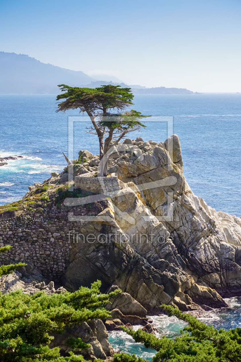 Bild-Nr.: 11471954 Lone Cypress erstellt von ArtworkBahnhof