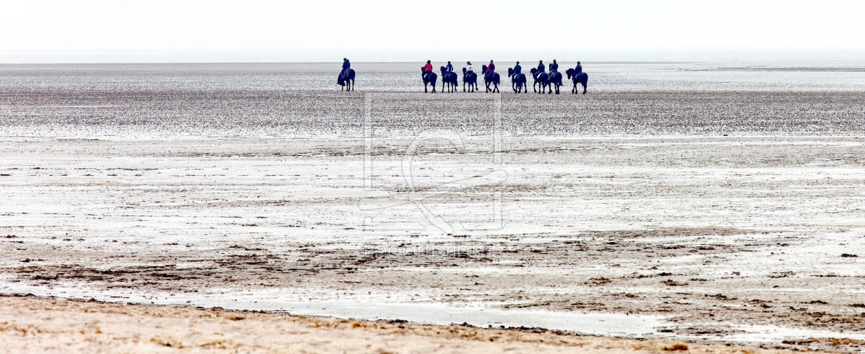 Bild-Nr.: 11472693 Reiter auf dem Wattenmeer erstellt von wompus