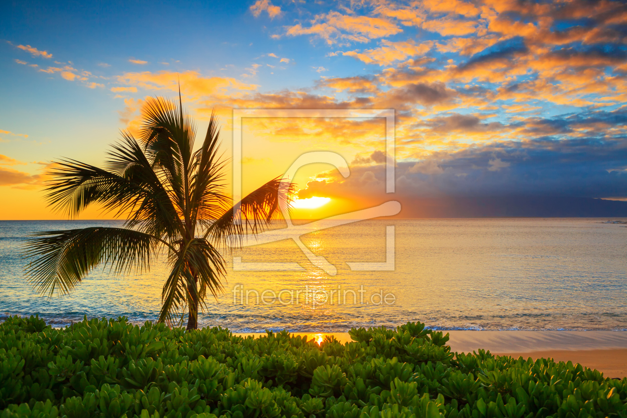 Bild-Nr.: 11472875 Hawaii - Maui Sonnenuntergang erstellt von d-wigger
