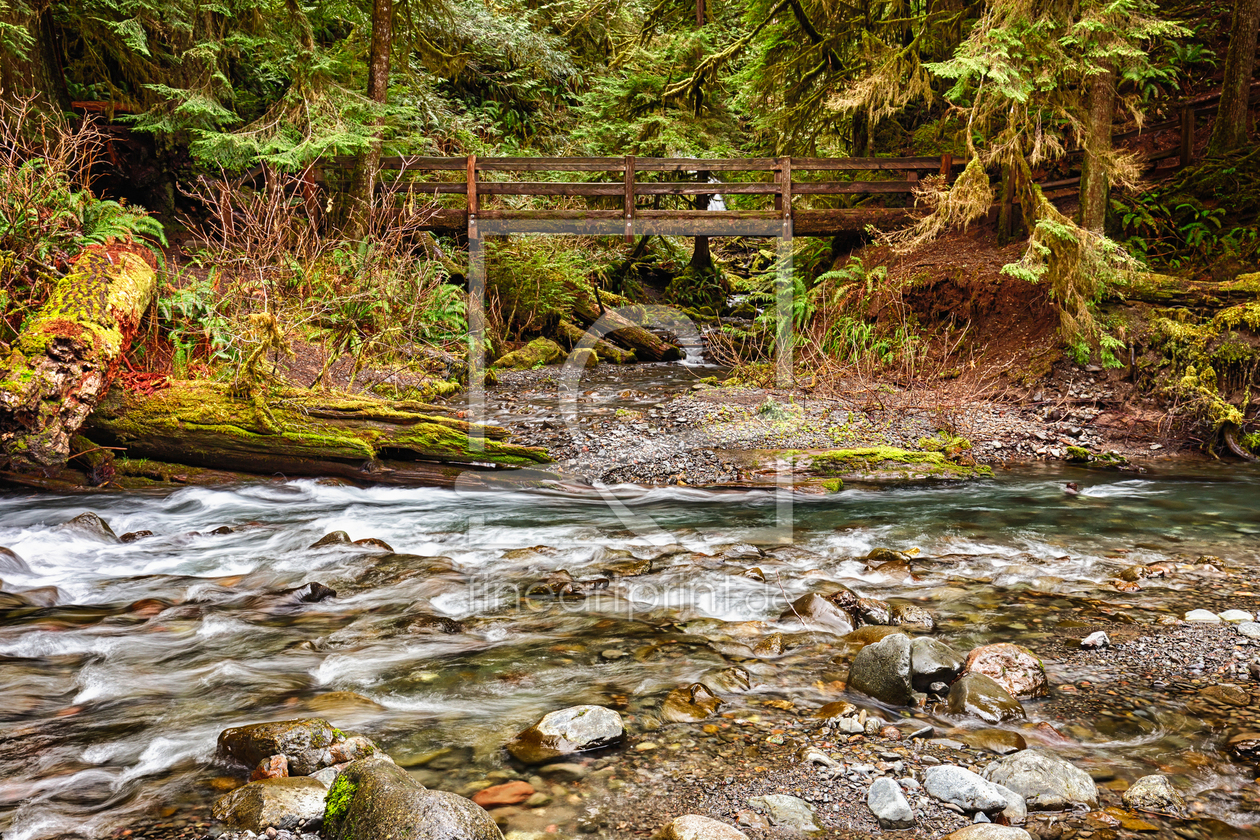 Bild-Nr.: 11472918 Olympic National Park erstellt von TomKli