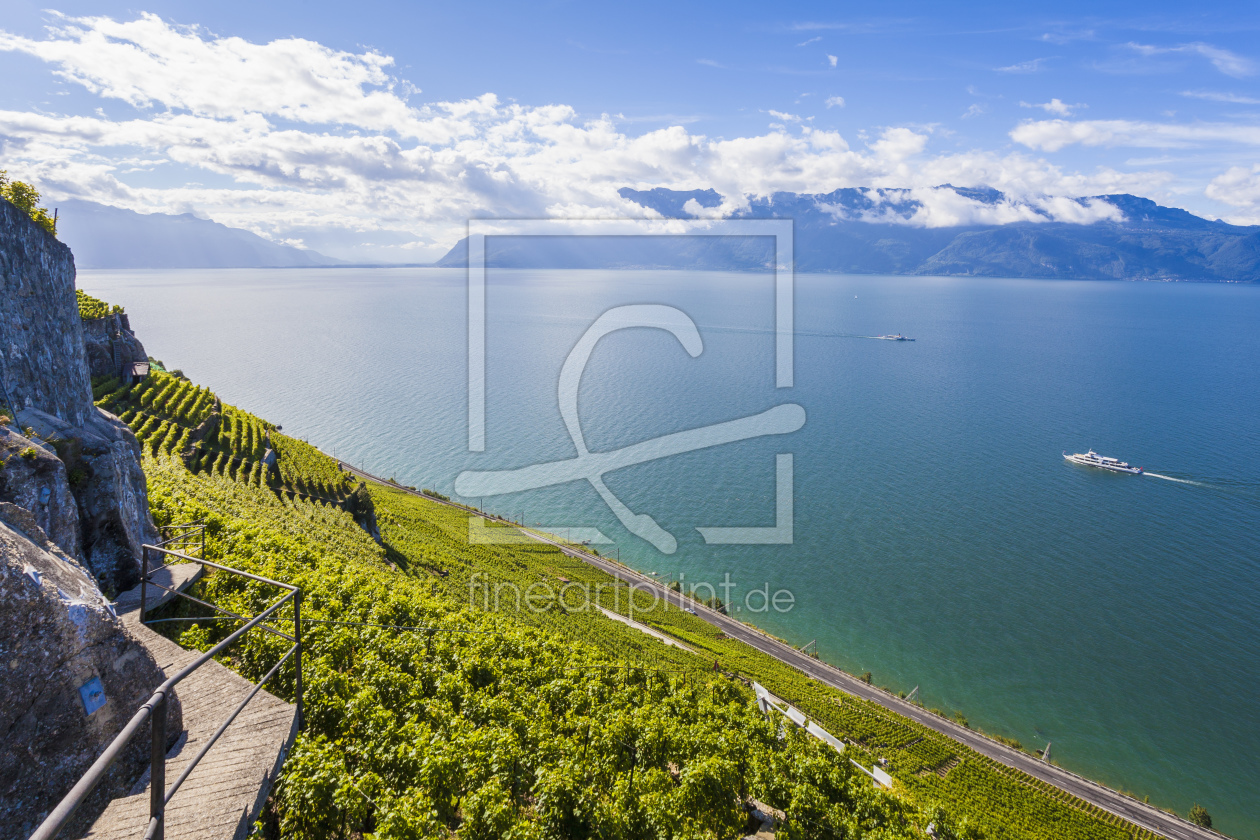 Bild-Nr.: 11473908 LAVAUX, GENFER SEE erstellt von dieterich