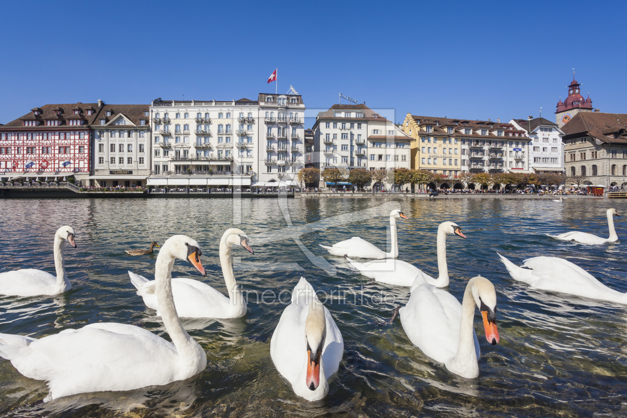 Bild-Nr.: 11474101 LUZERN erstellt von dieterich